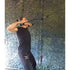 Muscle Power Spreader Bar — 360° Kabelaccessoire | 50 cm | MP6092